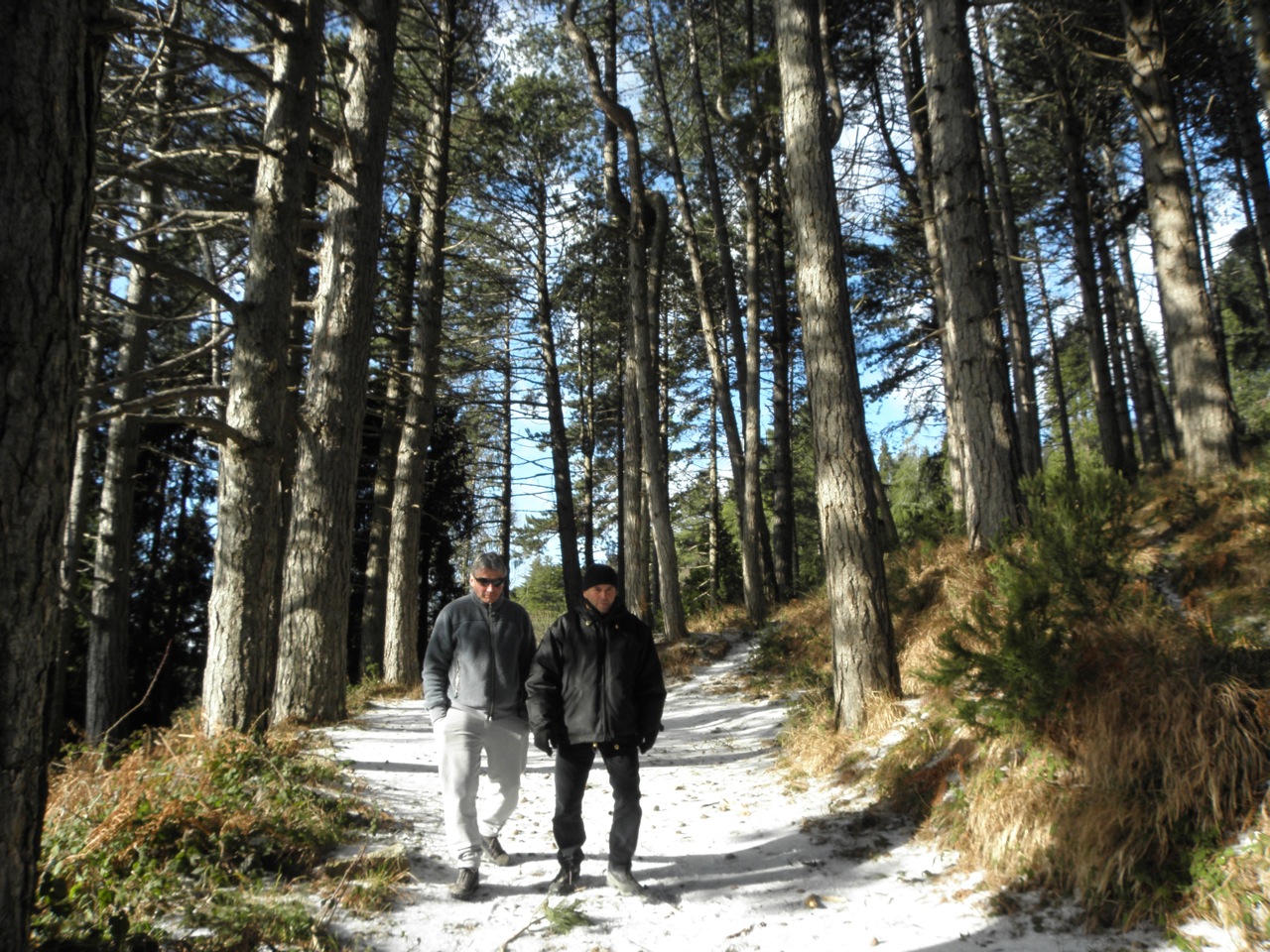 Montignoso - Febbraio 2010